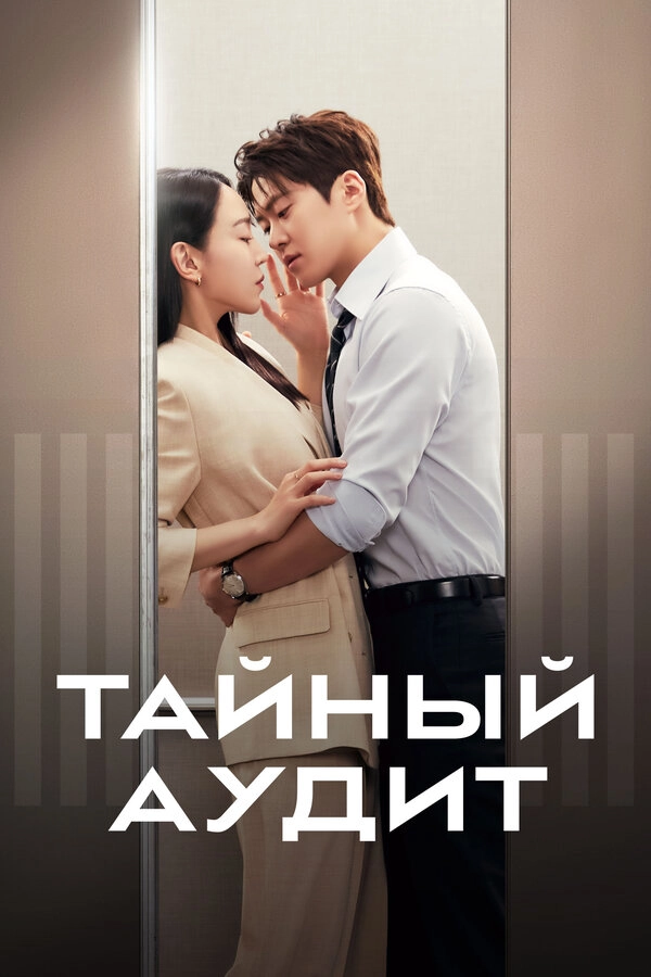 Тайный аудит постер